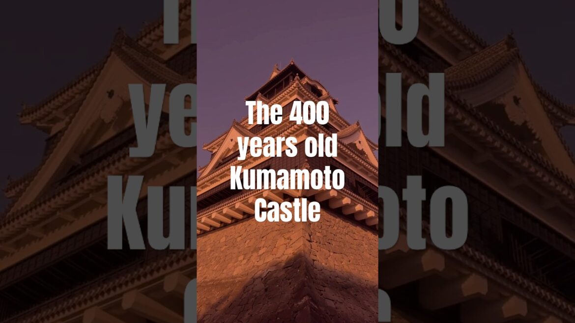 400 Years Old Castle in Japan 🇯🇵 #KumamotoCastle #Shorts