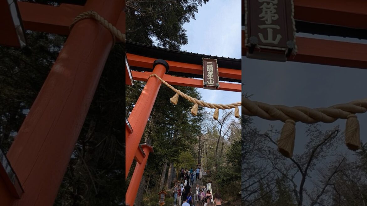 Going to Shiogama Shrine | #youtube #shorts #japan