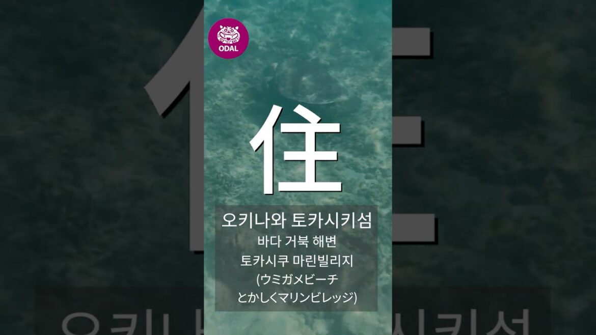 바다 거북 해변 토카시쿠 마린 빌리지 바다 거북 해변 토카시쿠 마린 빌리지