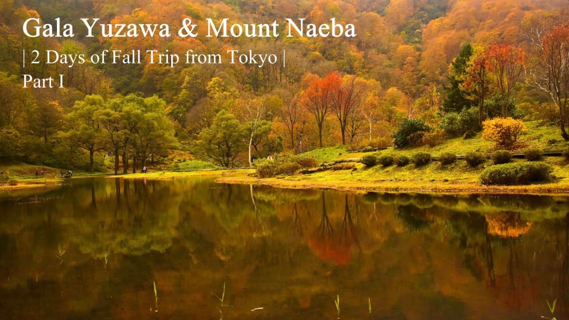 Gala Yuzawa & Mount Naeba | 2 Days of Fall Trip from Tokyo | Part I | #niigata #galayuzawa Gala Yuzawa & Mount Naeba | 2 Days of Fall Trip from Tokyo | Part I | #niigata #galayuzawa