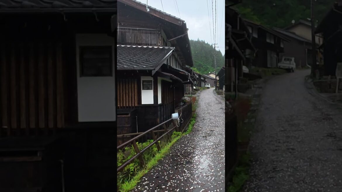 Nakasendo Village | Between Magome and Tsumago  #japan #travel #4kwalk #4kuhd #rain #rainwalk #asmr
