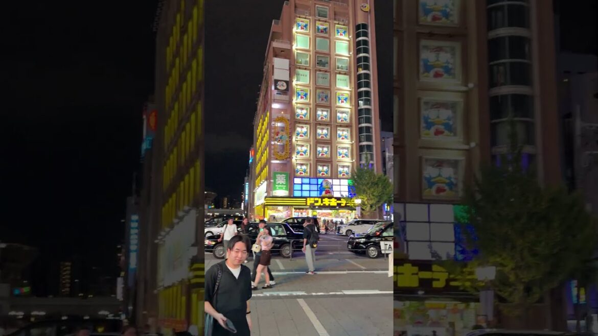 Osaka Nightlife Japan - Dotonbori