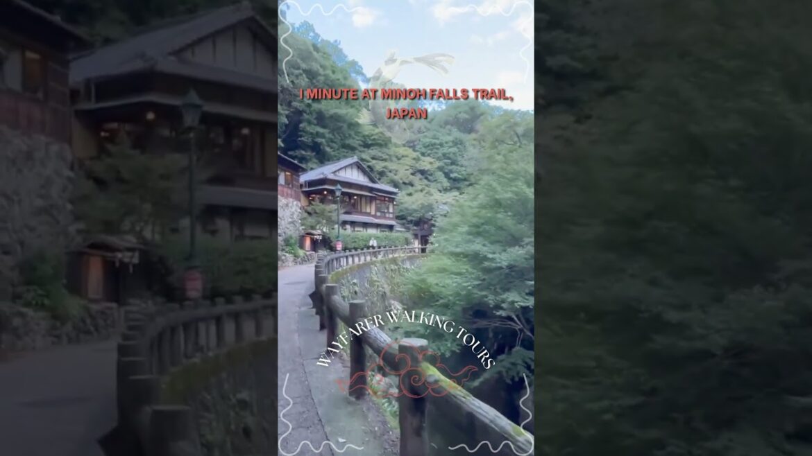 🇯🇵 Gorgeous Minoh Falls Walk at Blue Hour 🏞️ | 4K HDR 60 FPS #waterfall #minoh #walkingtour #japan