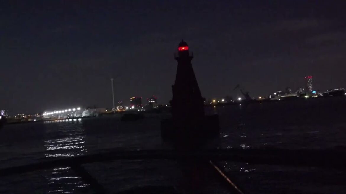 The Most UNIQUE Night Tour in Japan? | Yokohama's City Lights & Factory Cruise