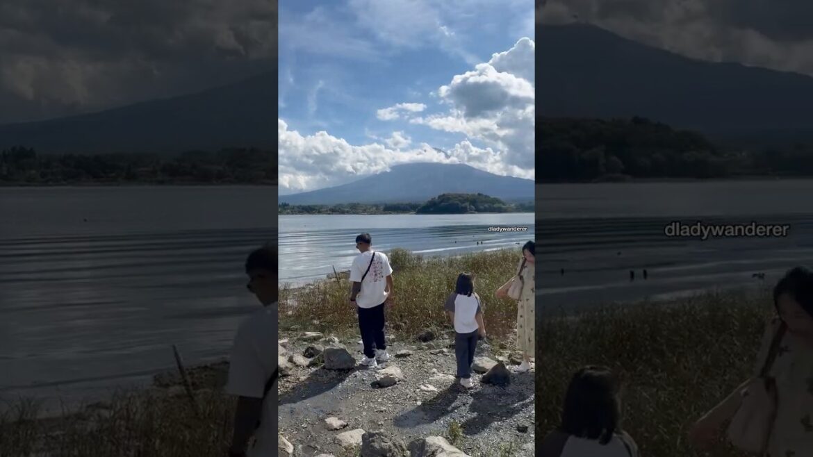 Tourists in Lake Kawaguchiko REALITY #mountfuji Tourists in Lake Kawaguchiko REALITY #mountfuji