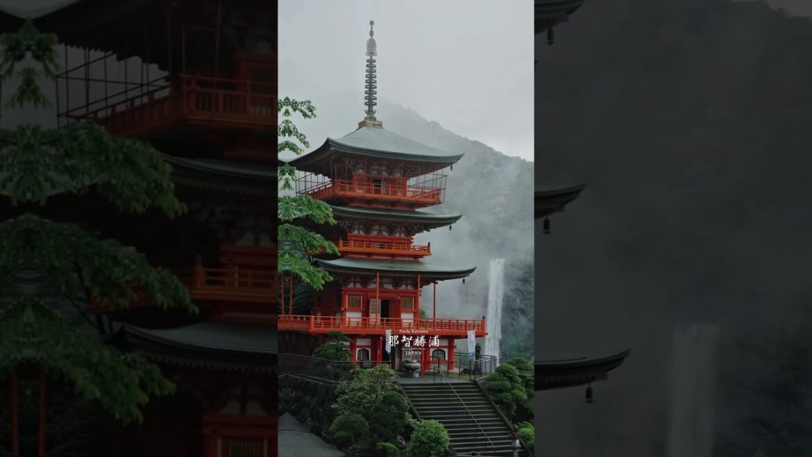 Wakayama — where Japan slows down 🍃🇯🇵 #japan #wakayama #travelshorts #和歌山 #trend #fypシ #travel