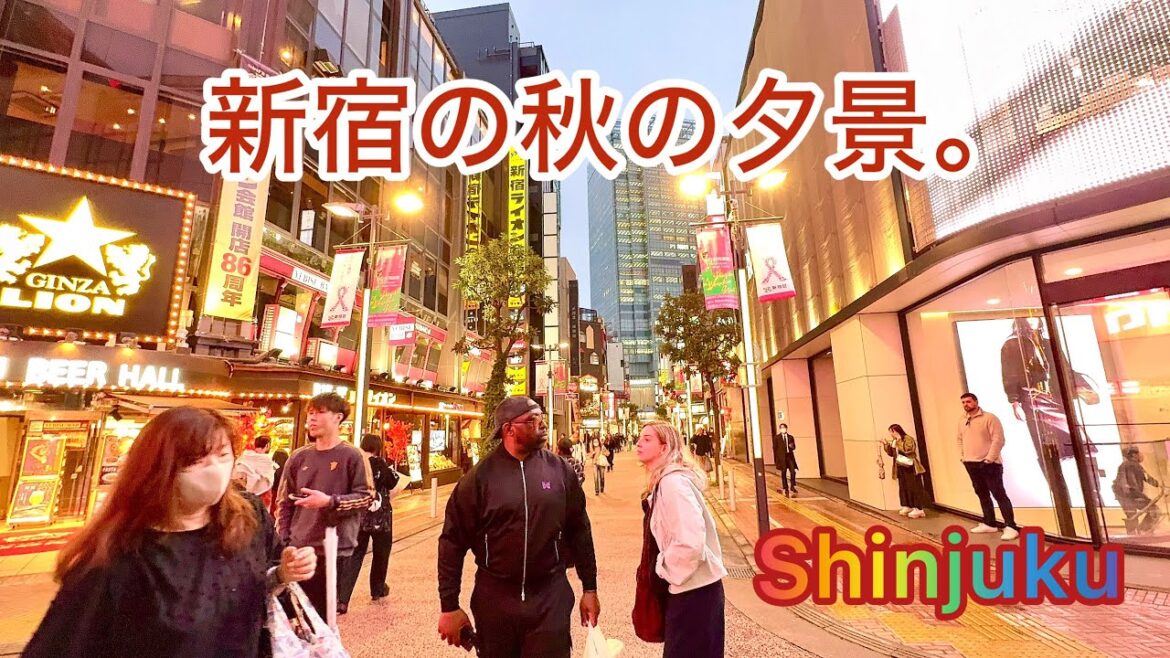 4K HDR Evening walking tour in Shinjuku in the slides rain. Tokyo, Japan. 4K HDR Evening walking tour in Shinjuku in the slides rain. Tokyo, Japan.