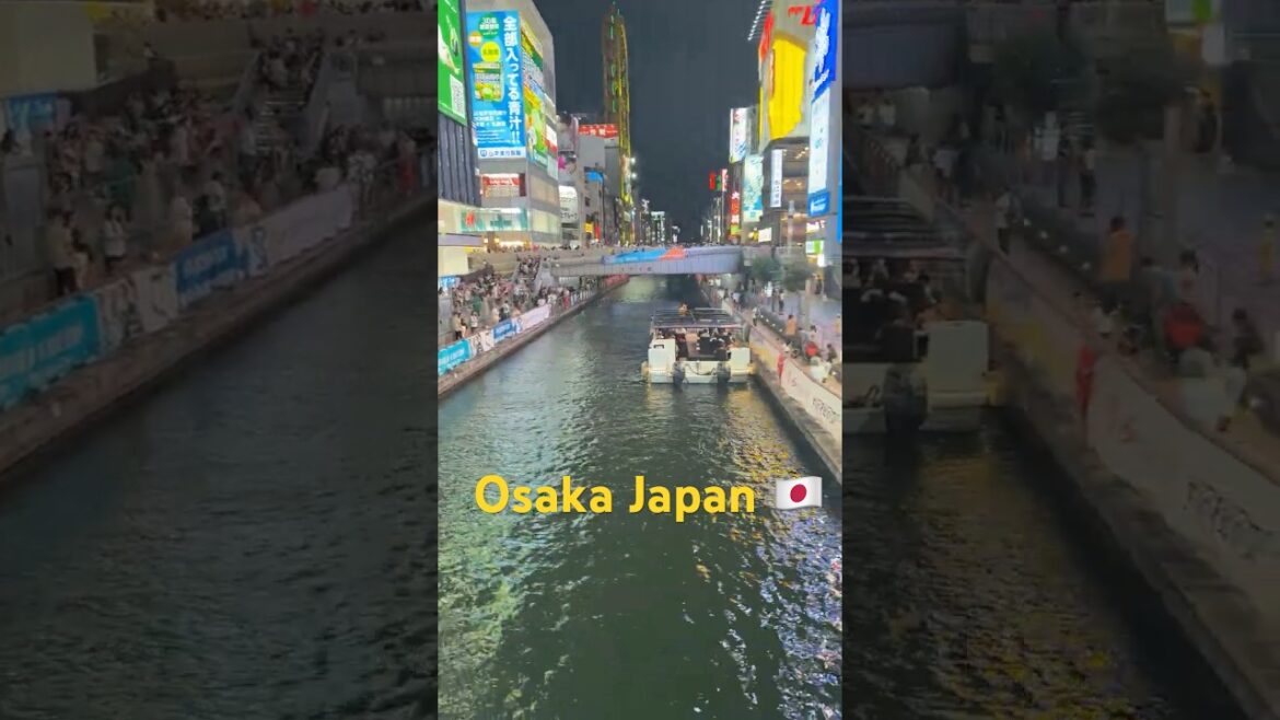 Dotonbori Osaka Japan Nightlife 🇯🇵