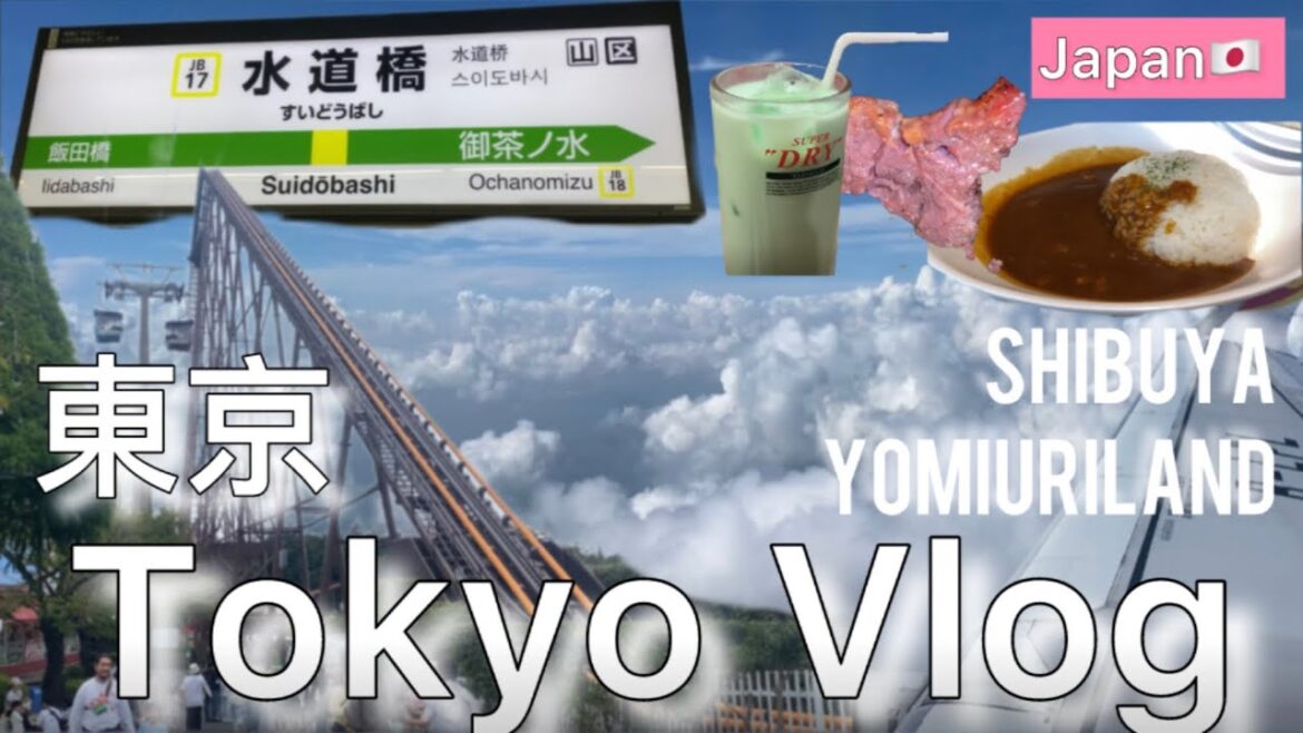 γTokyo Revisitγ Japan Tokyo Travel Vlog 2025 π―π΅πΈ γTokyo Revisitγ Japan Tokyo Travel Vlog 2025 π―π΅πΈ