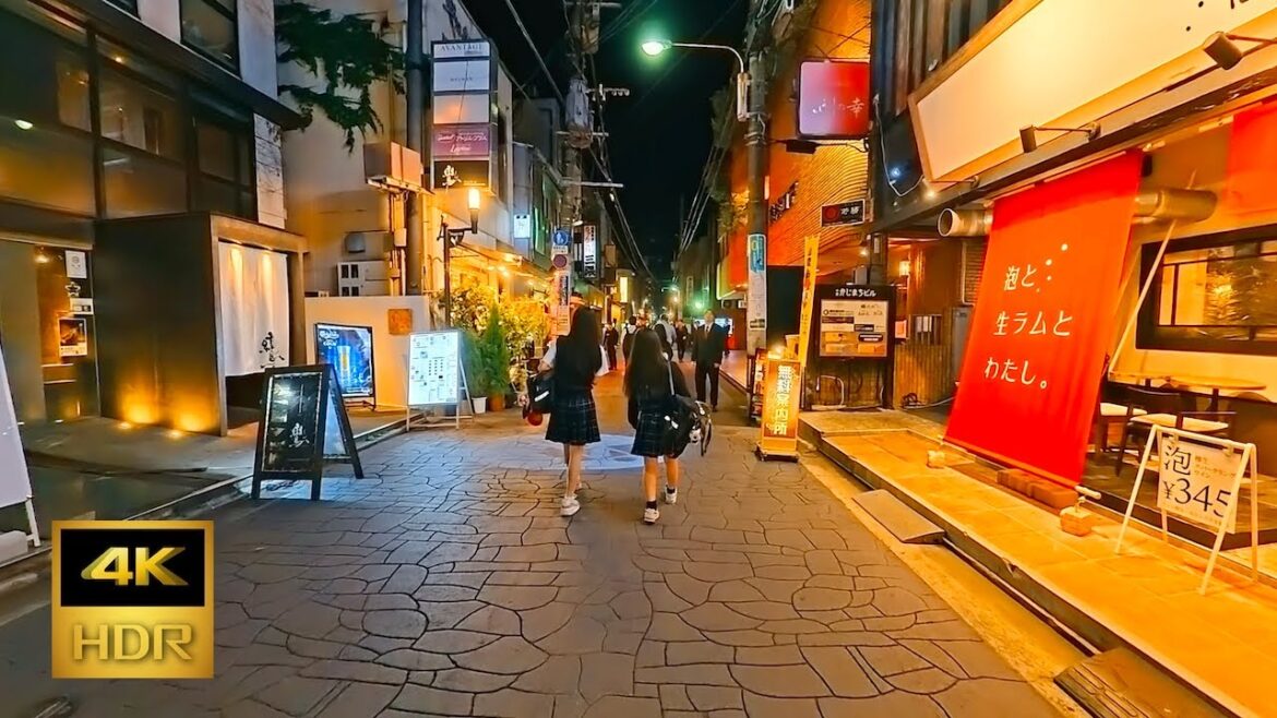 4K Night Walk in Kokura | Lively Streets & Nightlife in Kitakyushu Japan 4K Night Walk in Kokura | Lively Streets & Nightlife in Kitakyushu Japan