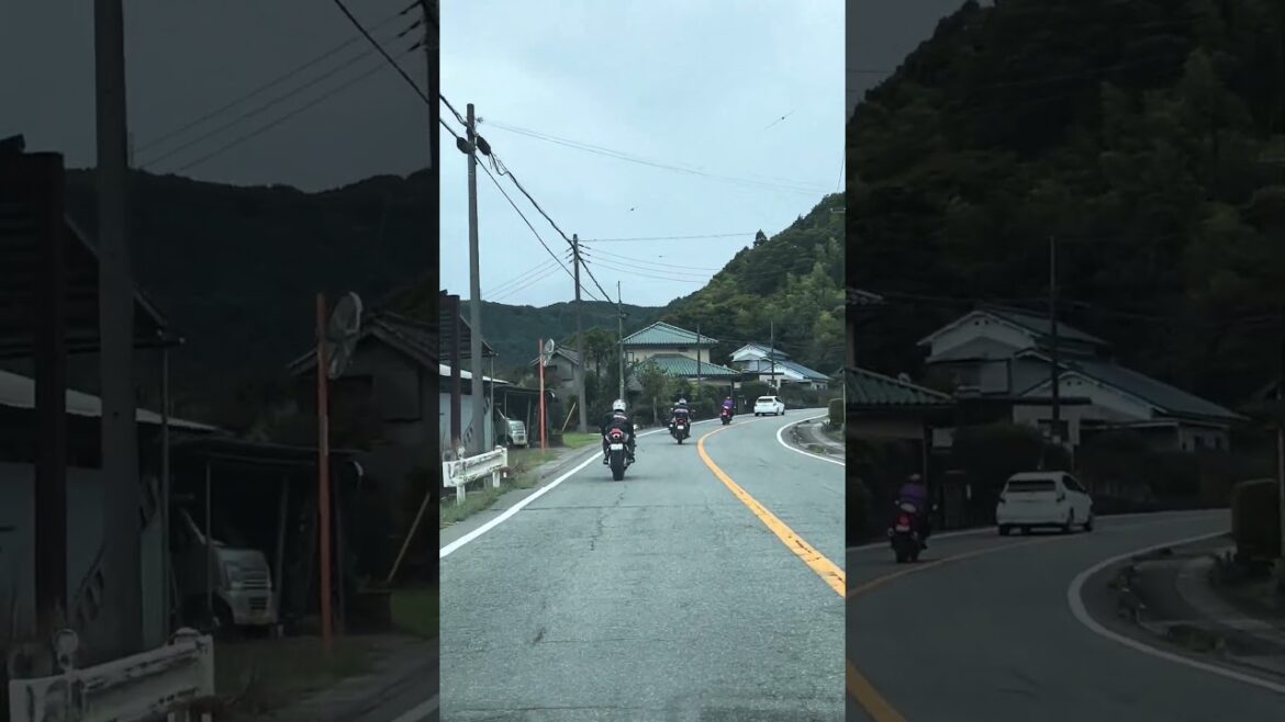 A road of the Izu Peninsula. Japan 🚗#japan #travel #driving #roadtrip #shizuoka #izu #izupeninsula
