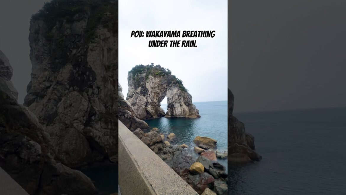 POV: Wakayama breathing under the rain. #viralvideo #travel #japantravel #japan #wakayama ＃和歌山