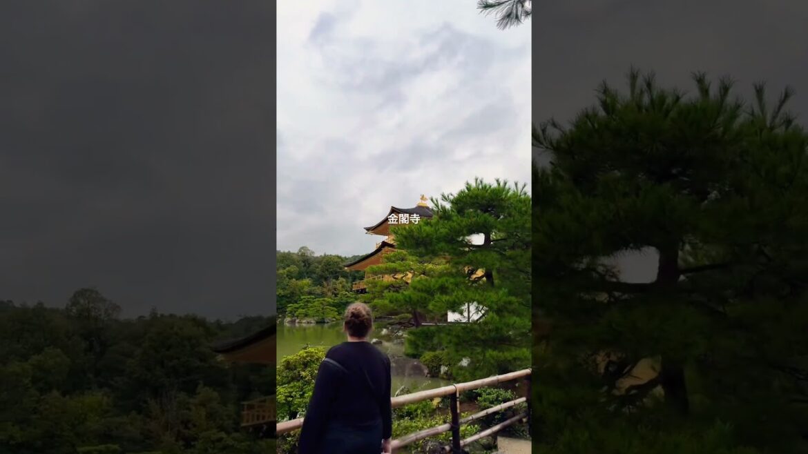 金閣寺 2 #日本 #関西 #大阪 #京都 #旅行 #海外旅行 #vlog #shorts #shortvideo #travel #japantravel #일본 #교토 #嵐山 #金閣寺 #清水寺