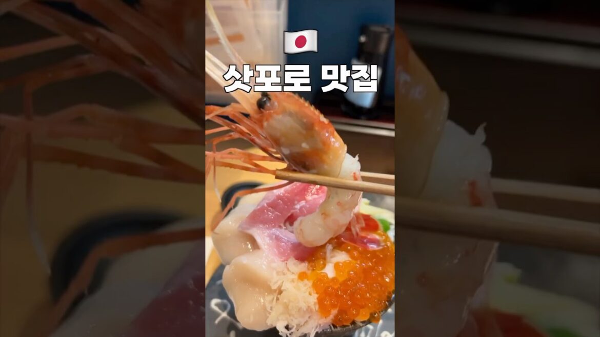 삿포로에서 무조건 먹어야 한다는 음식🍣🍜🍛🍦홋카이도 여행 삿포로에서 무조건 먹어야 한다는 음식🍣🍜🍛🍦홋카이도 여행