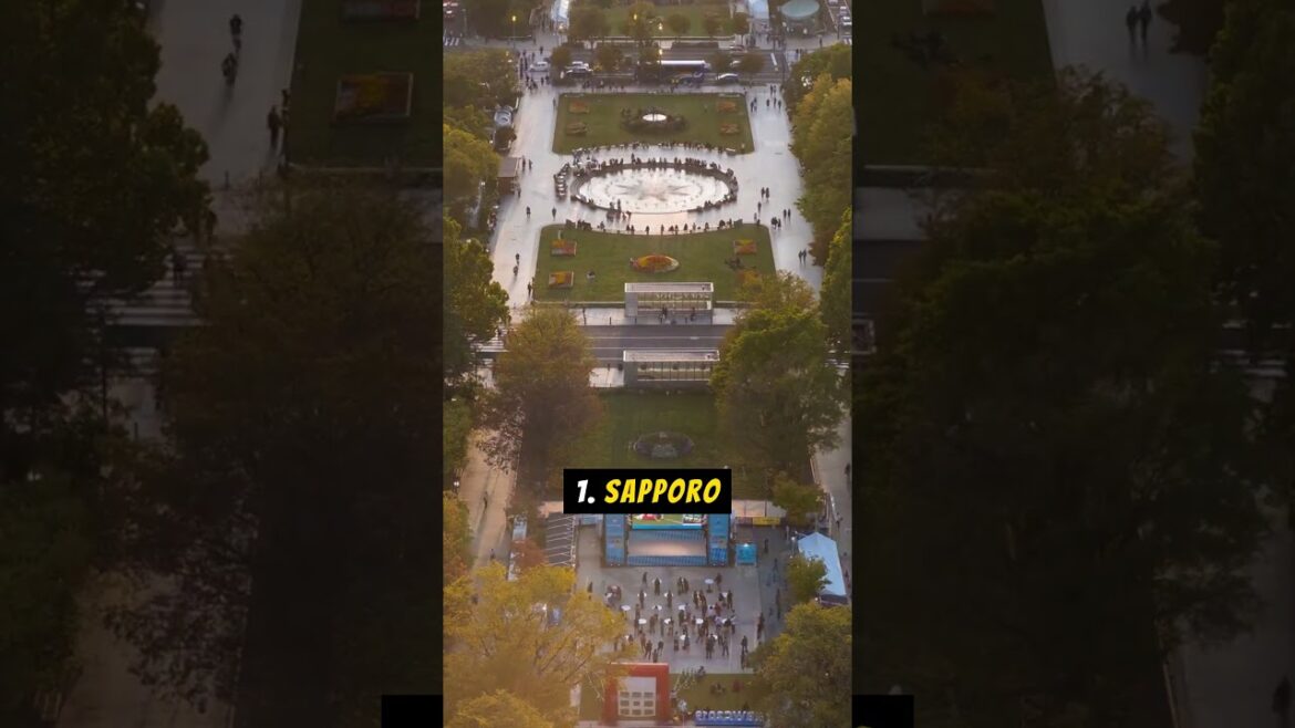 Top 5 places to visit in Hokkaido #hokkaido #otaru #sapporo #hakotate #Daisetsuzan #Furano #biei