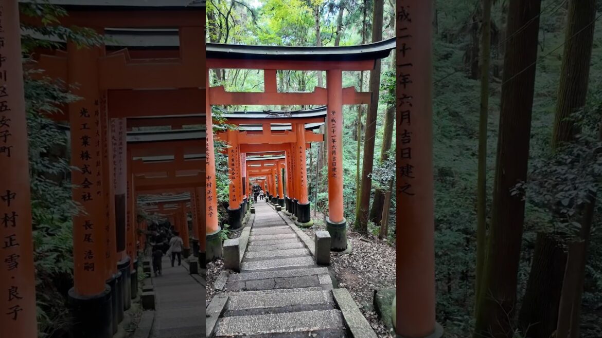 Fushimi Inari Taisha #toriigates #kyoto #japan #travel