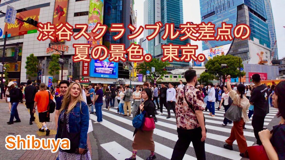 4K HDR Virtual Walking tour in Shibuya. Tokyo Japan. 4K HDR Virtual Walking tour in Shibuya. Tokyo Japan.