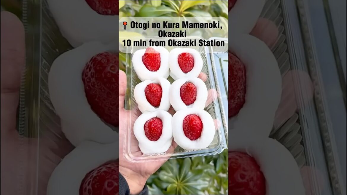 Japanโs Most Loved Strawberry Mochi ๐ | Otogi no Kura Mamenoki, Okazaki ๐ฏ๐ต Japanโs Most Loved Strawberry Mochi ๐ | Otogi no Kura Mamenoki, Okazaki ๐ฏ๐ต