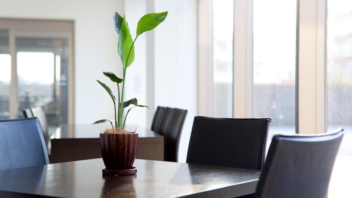 Hotel Athena Kaigetsu, Kobe, Japan | Travel With Suruchi Hotel Athena Kaigetsu, Kobe, Japan | Travel With Suruchi