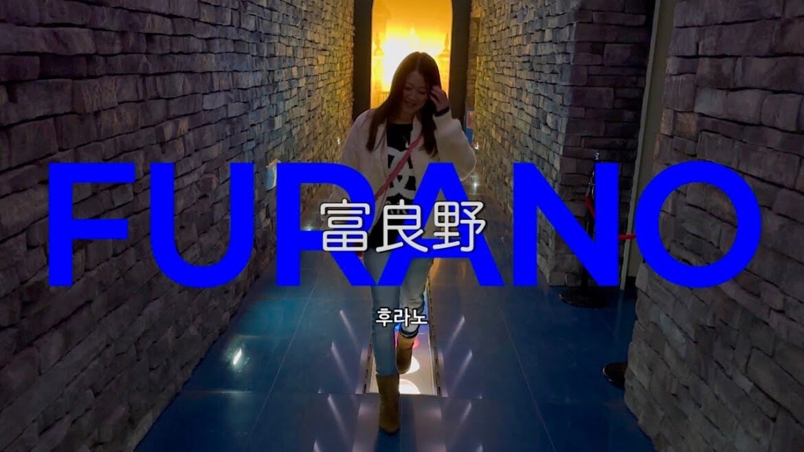 【旅行/Trip】札幌から日帰りで行ける富良野🚗❣️ファーム富田🪻富良野チーズ工房🧀 【旅行/Trip】札幌から日帰りで行ける富良野🚗❣️ファーム富田🪻富良野チーズ工房🧀