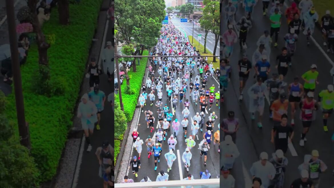 【4K HDR🇯🇵】”Yokohama Marathon 2205” with over 25,000 runners! 【4K HDR🇯🇵】"Yokohama Marathon 2205” with over 25,000 runners!