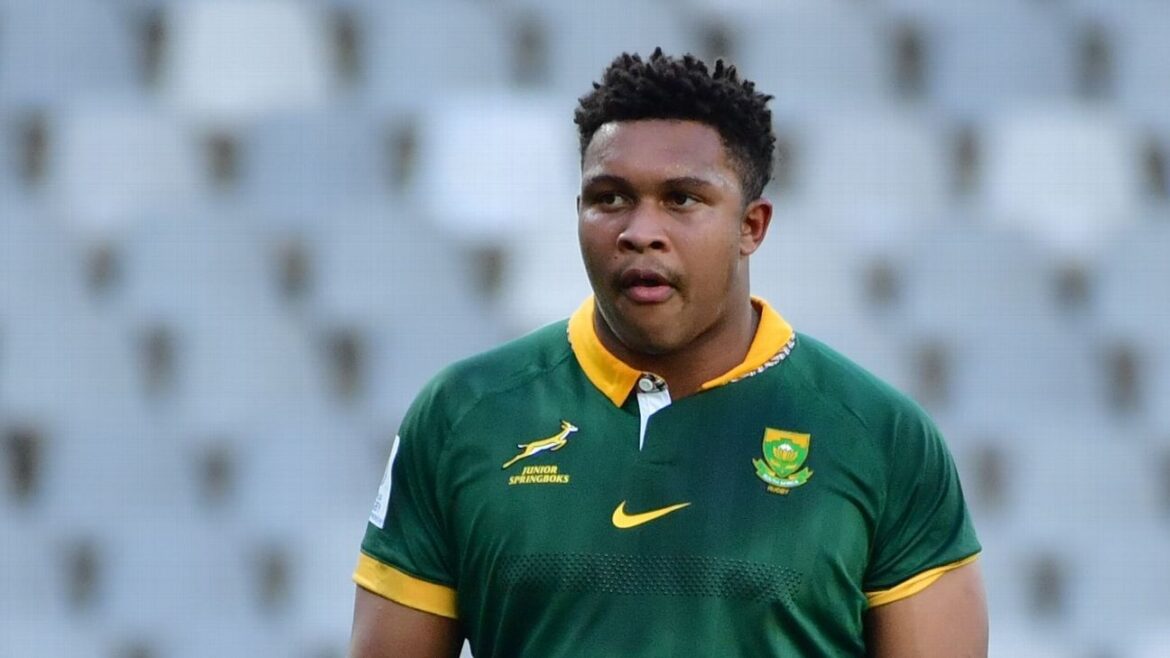 South Africa vs Japan – Debutant Zachary Porthen to start for Springboks at Twickenham South Africa vs Japan - Debutant Zachary Porthen to start for Springboks at Twickenham