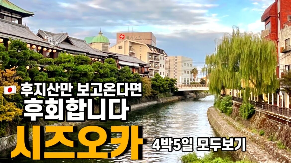 50대부부 얼떨결에 떠난 일본소도시 시즈오카여행 🇯🇵시즈오카 이즈반도 이 영상 하나로 종결!