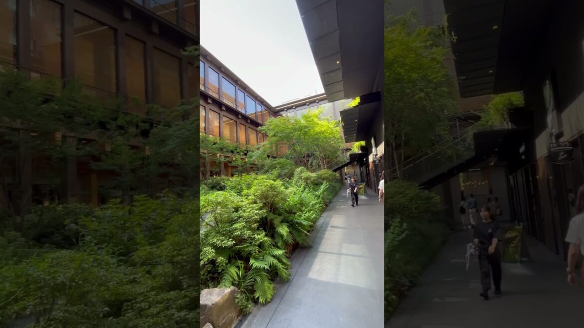 【KYOTO】Must-See Shopping Spot – ShinPuhKan 【KYOTO】Must-See Shopping Spot - ShinPuhKan