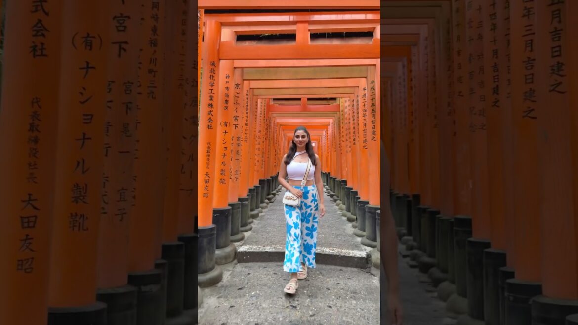 Must visit in Japan 🇯🇵 Fushimi Inari in Kyoto