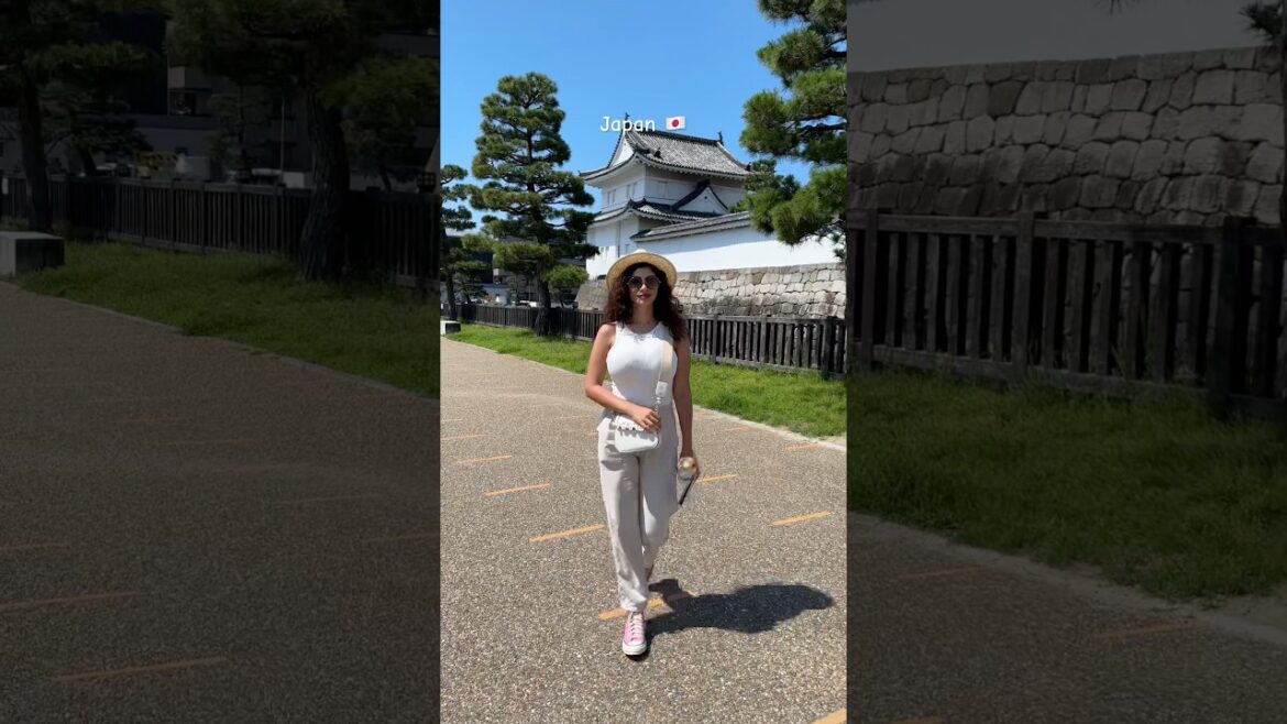 Exploring the beauty of Japanese style castles in Kyoto 🇯🇵