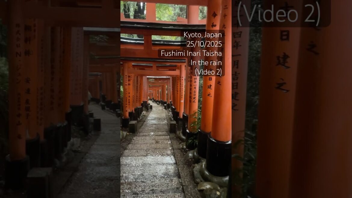 KYOTO, Japan | FUSHIMI INARI TAISHA… in the RAIN ❤️