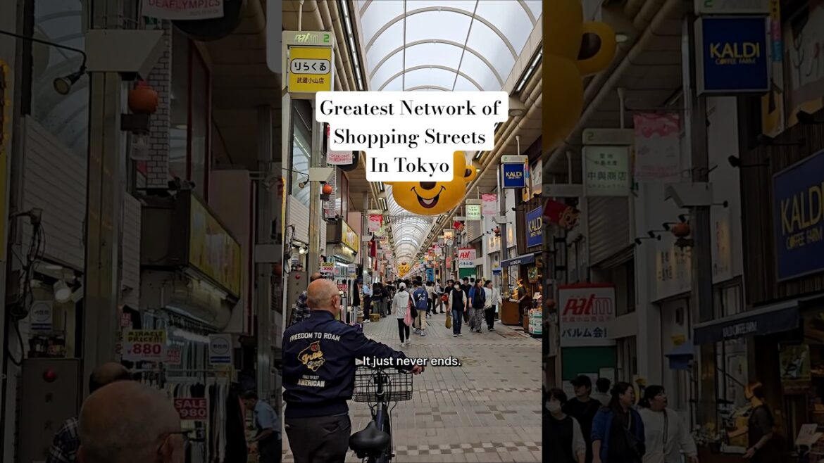 Tokyo’s Greatest Shopping Street Cluster #tokyo Tokyo’s Greatest Shopping Street Cluster #tokyo