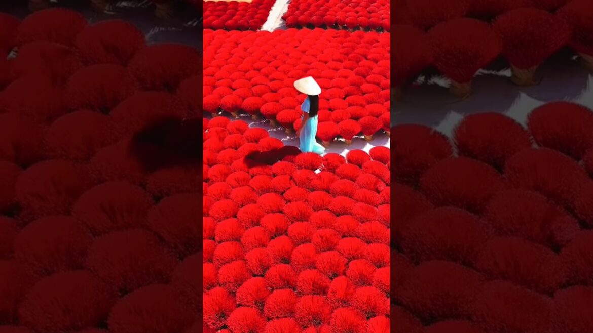 Places in Vietnam That Don’t Feel Real! π»π³β¨ #travel #nature #adventure #explore Places in Vietnam That Don't Feel Real! π»π³β¨ #travel #nature #adventure #explore