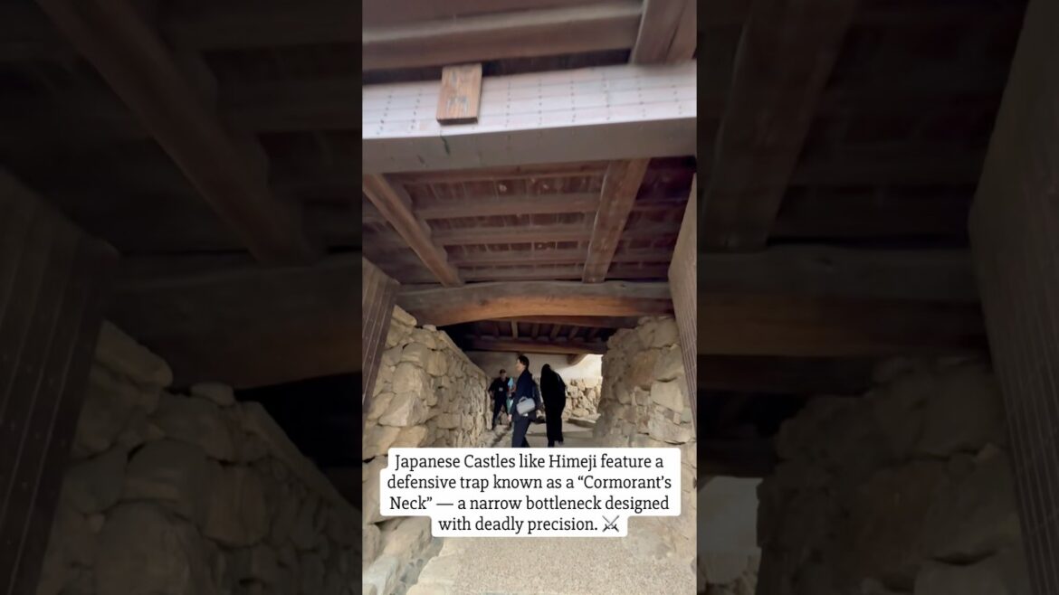 Japanese Castles like Himeji feature a narrow bottleneck designed with deadly precision. ⚔️