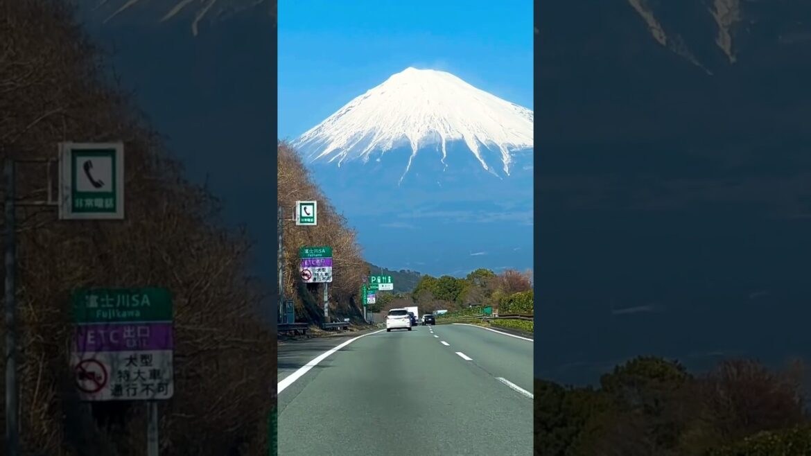The Glow of The Snow in Fuji Mountain #shorts #fuji #fujimountain #japan #dreamworlddw The Glow of The Snow in Fuji Mountain #shorts #fuji #fujimountain #japan #dreamworlddw