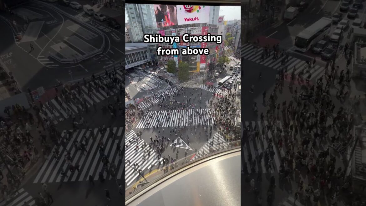 Shibuya Scramble #tokyo #shibuya #shibuyacrossing #japan #shibuyasky #travel #japaneseculture #trip