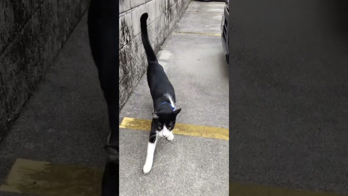 Okinawa Trip #okinawa #travel