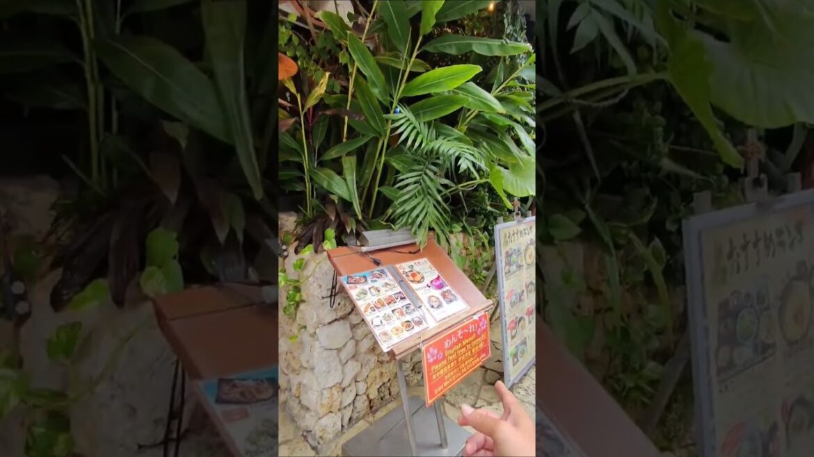 Okinawan Dining Hateruma on Kokusaidori in Naha #Meta #AI Okinawan Dining Hateruma on Kokusaidori in Naha #Meta #AI