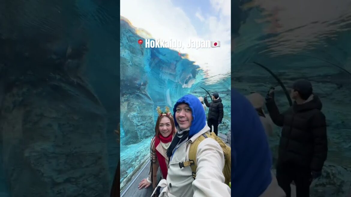 A Classic Hokkaido Day Tour 🇯🇵❄️ via Klook, where every stops is a winter postcard