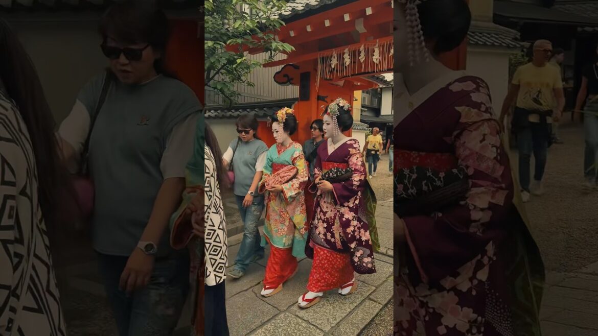 Kyoto highlights #kyoto #kyotojapan #japan #travel