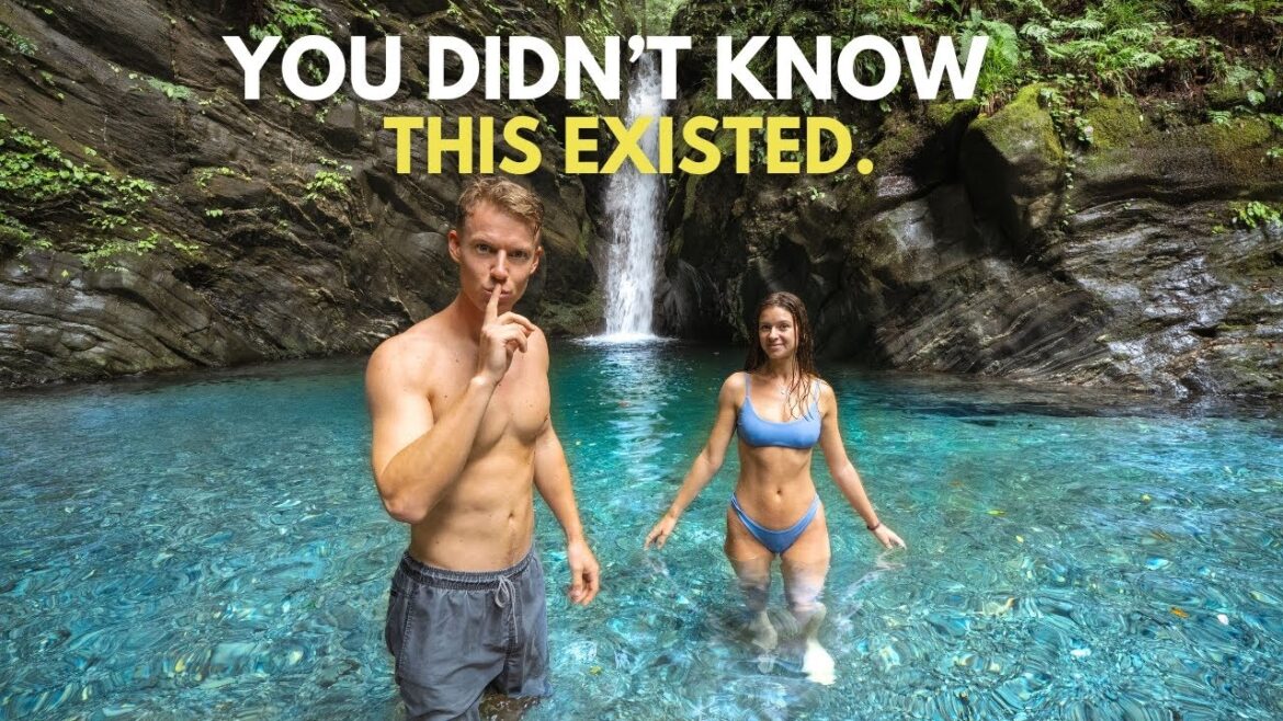 Japan’s Best-Kept Secret - What's really going on here? 🇯🇵