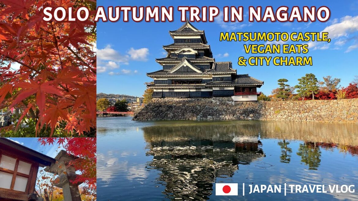 BEST Autumn in Nagano | colourful November | MATSUMOTO Castle BEST Autumn in Nagano | colourful November | MATSUMOTO Castle