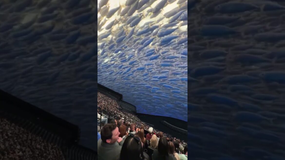 Places on Earth That Don’t Feel Real 🌍 | Singapore, Japan & Paris