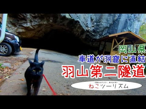 【猫と旅行】珍奇!『羽山第二隧道』【岡山県】 【猫と旅行】珍奇!『羽山第二隧道』【岡山県】