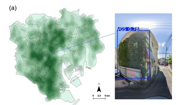 Mapping vertical greening across Tokyo’s 23 wards