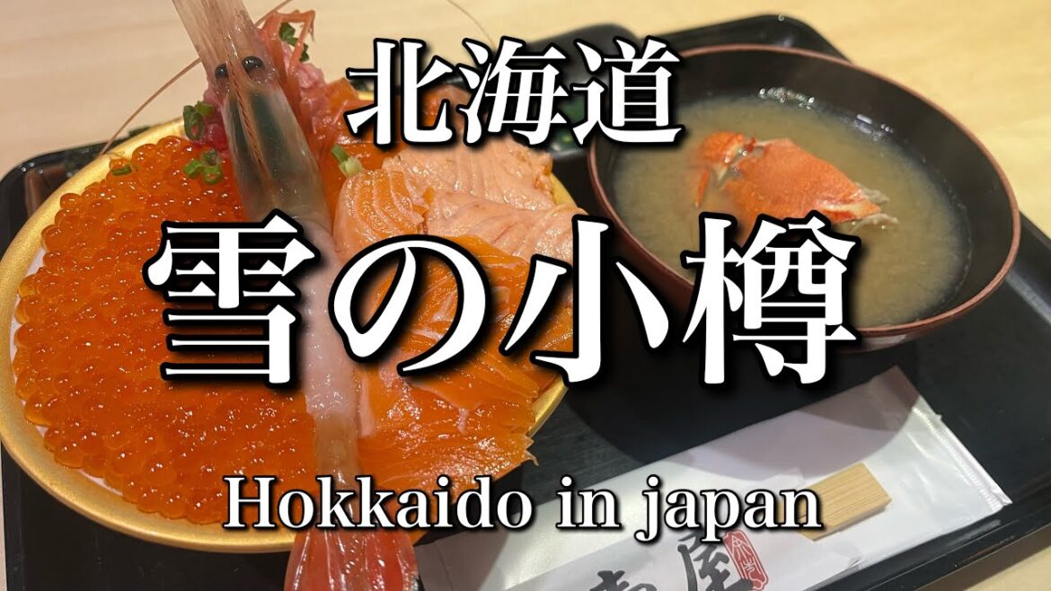 【雪の小樽】Snowy Otaru  Hokkaido in japan  北海道 【雪の小樽】Snowy Otaru  Hokkaido in japan  北海道