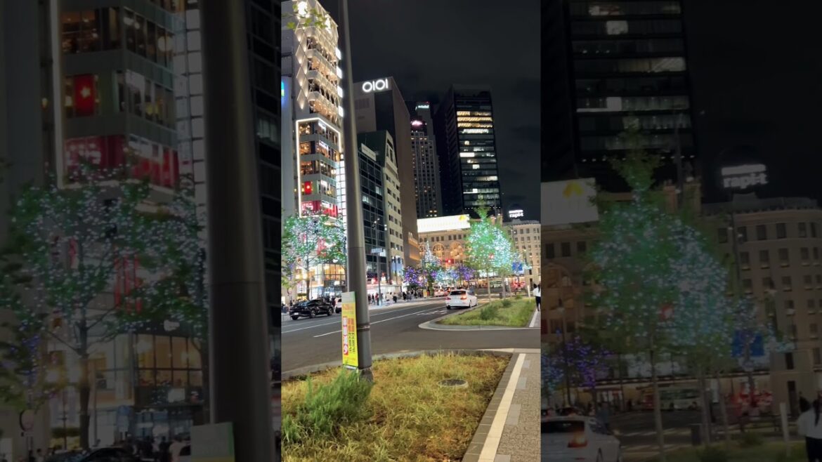 【OSAKA】 Everyday Common Scene - Namba Station