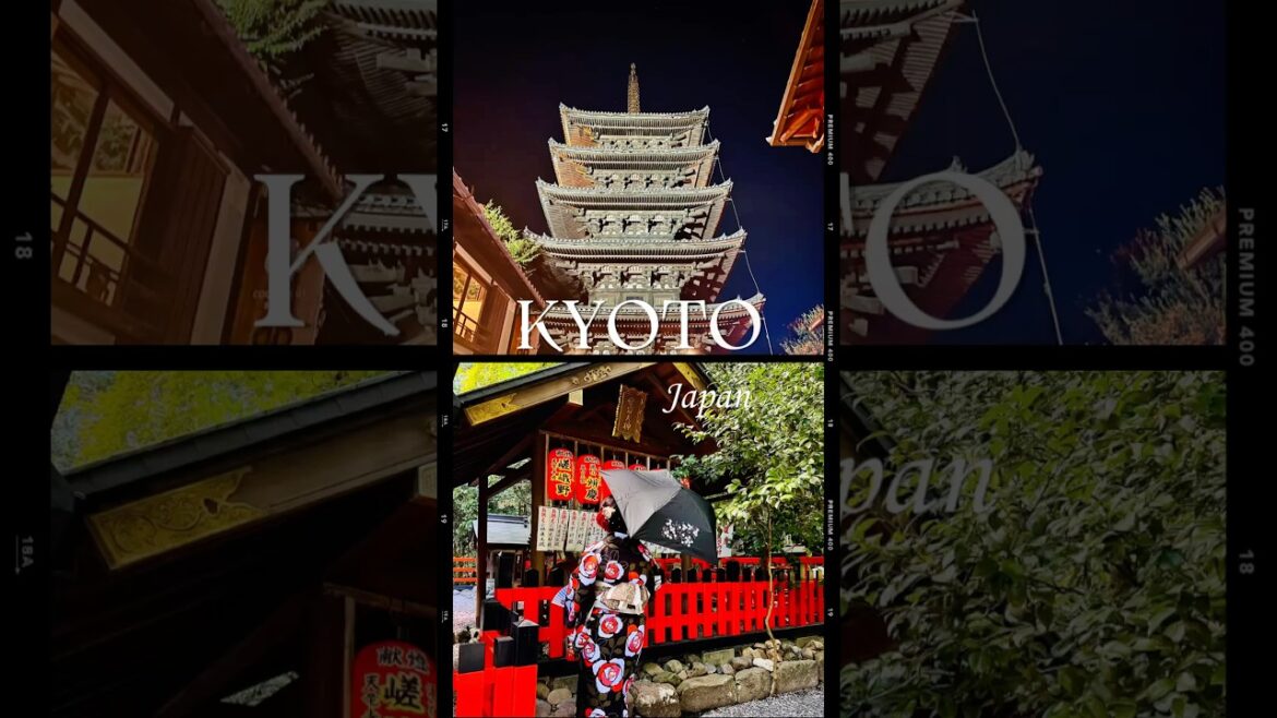 ๐ฟ Kyoto Travel Vlog | Arashiyama Bamboo Grove, Tenryu-ji Temple, Yasaka Pagoda & Togetsukyo Bridge ๐ฟ Kyoto Travel Vlog | Arashiyama Bamboo Grove, Tenryu-ji Temple, Yasaka Pagoda & Togetsukyo Bridge