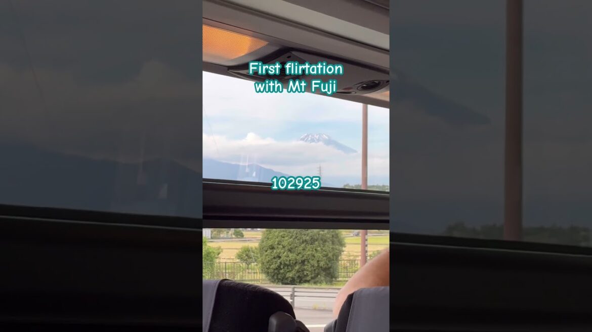 Eager to visit Mt Fuji, flirting on the way #gratitude #mountfuji #japan #japantravel #travelvlog