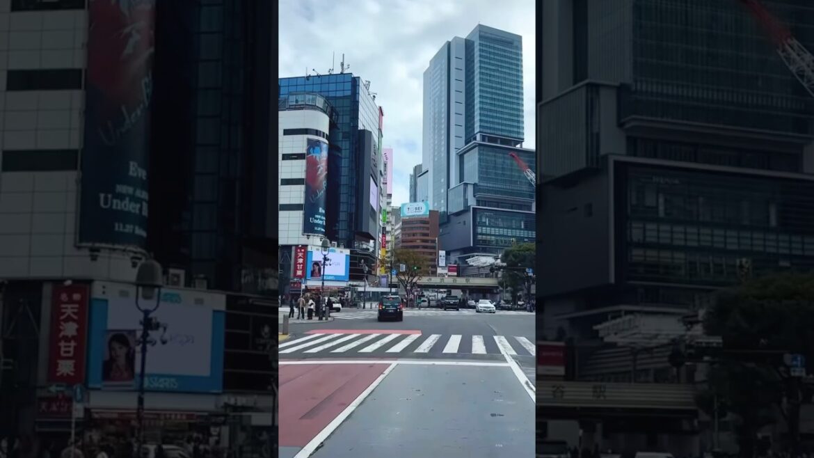 Tokyo Roads 🇯🇵 #drive #japan #tokyo #4kworld #japanese #shorts #youtube #japanese #travel #fypシ